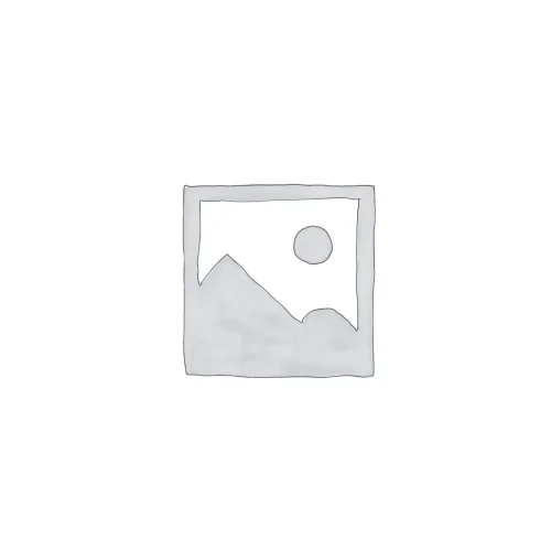 Sammic Spares Starting Switch - 2500635